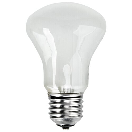 ELINCHROM adjsustment light 196V/100W E 27 Slike