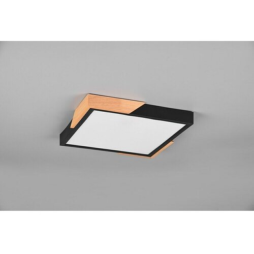 REALITY LEUCHTEN LED stropna svetilka Meta (20 W, Do x &amp;Scaron; x V: 31,5 x 31,5 x 3,5 cm, Črna, Topla bela) Slike