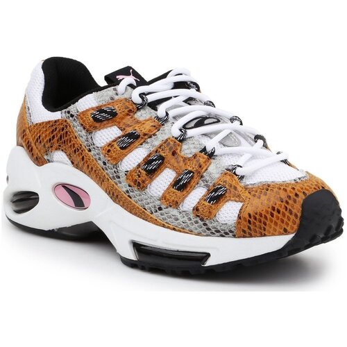 Puma Nizke superge Cell Endura Animal Kingdom 370926-01 Večbarvna Cene