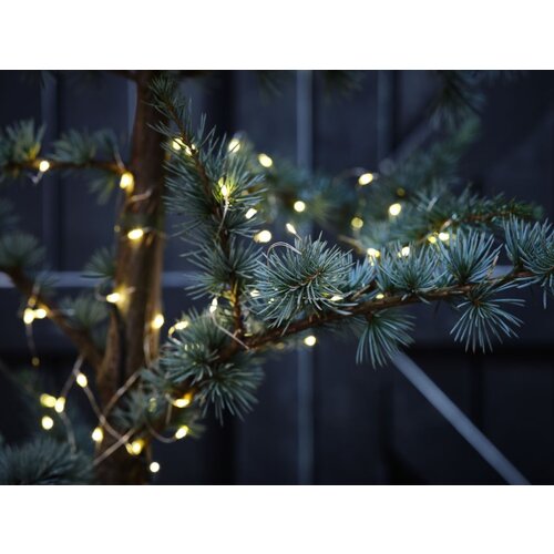 Olimp Sport Lampice 840cm Cene