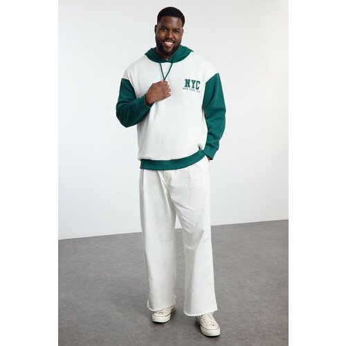 Trendyol Ecru Oversize/Wide Cut Plus Size Embroidered Sweatshirt Slike