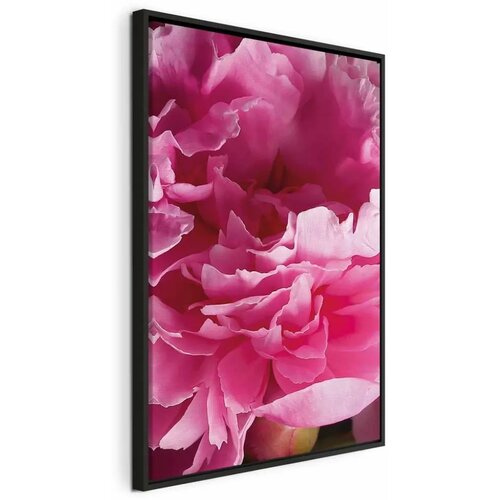  Slika - Blossom of Beauty (1-part) - Pink Peony Flower Embraced by Nature 40x60 Cene