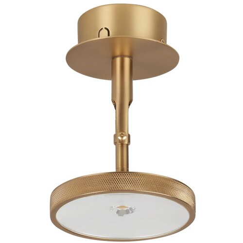 UMAGE LED točkovno svetilo v zlati barvi &amp;oslash; 12 cm Asteria Spot &amp;ndash; Slike