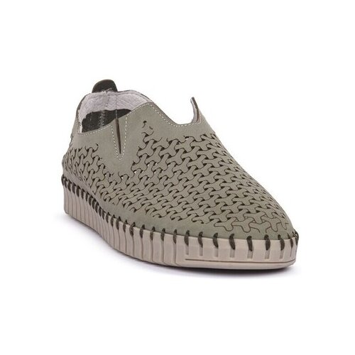 Frau Nizki čevlji Salvi pisana Cene