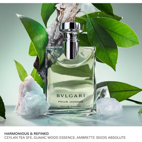 Bulgari mu&amp;scaron;ki parfem pour homme edp, 100 ml Slike