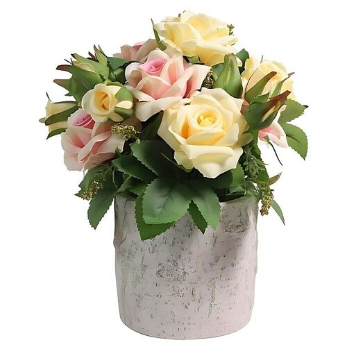  Aranžmani od biljaka u posudi (null, D x Š x V: 20 x 20 x 26 cm, Plastika, Raznobojno) Cijene