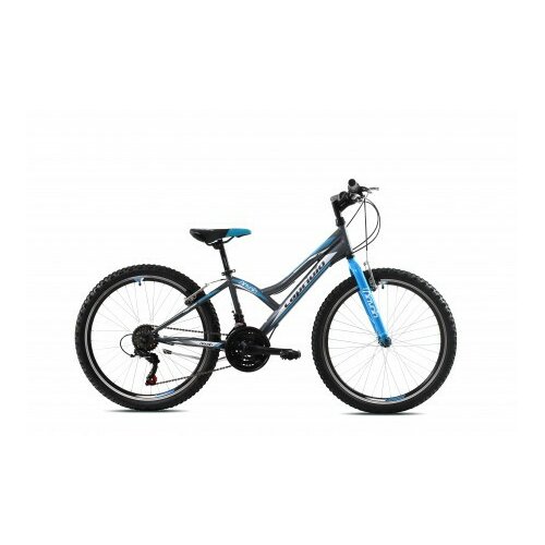 Capriolo diavolo 400/18HT sivo-plavi muški bicikl Slike
