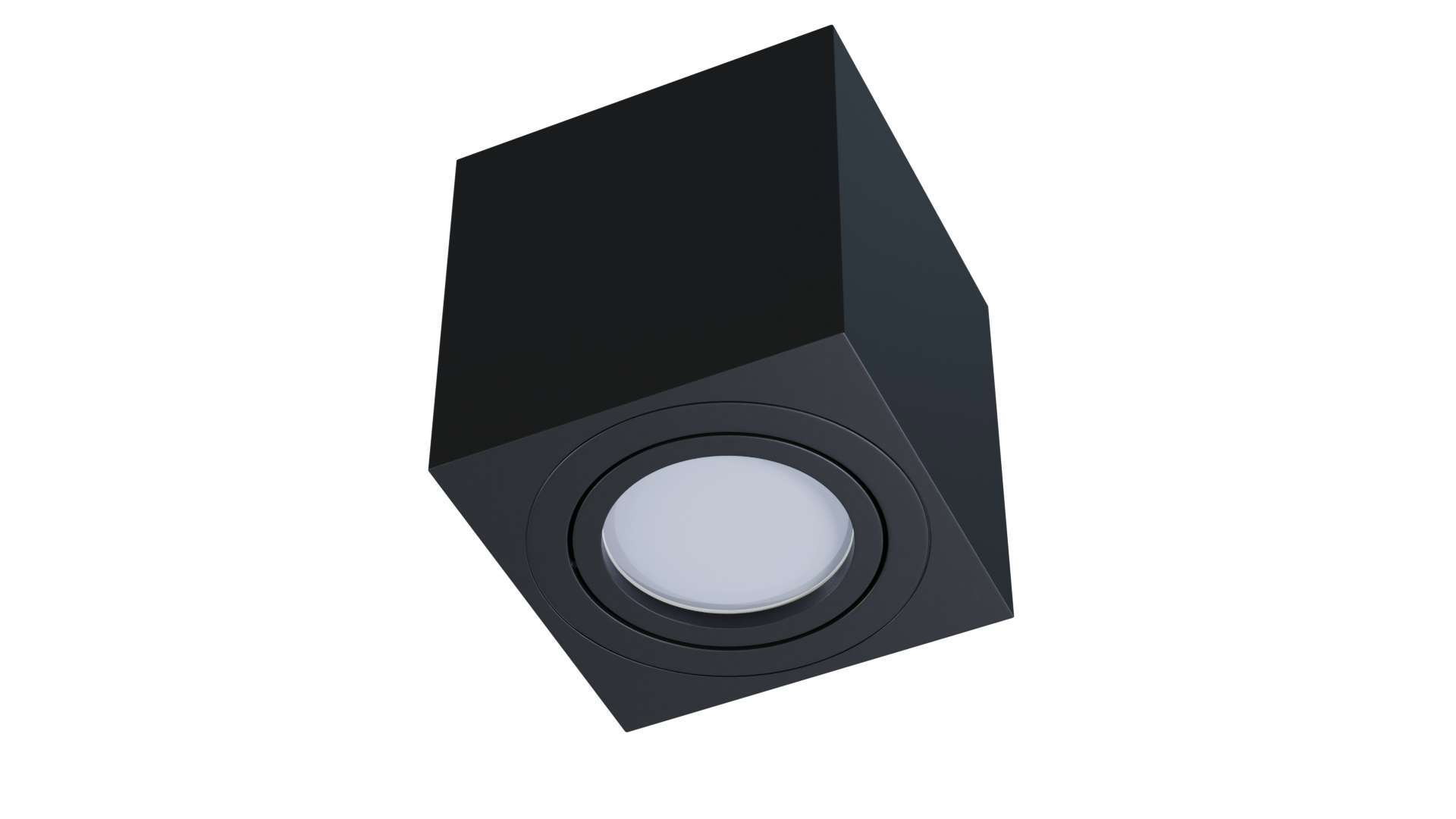LED-LABS Stropna nadometna svetilka NORD - črna Cene