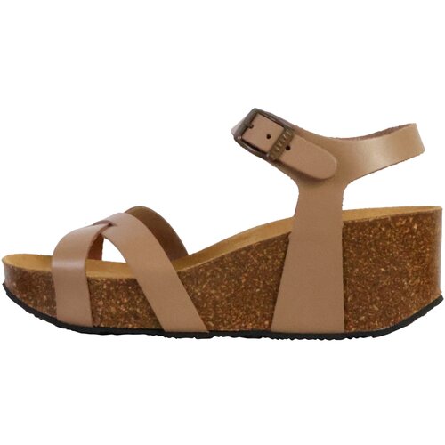 Plakton 250448 Zelena Slike