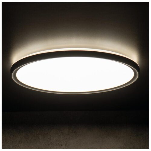 Kanlux 31517 - LED plafonsko svetlo AZPO LED/22W/230V prečnik 42 cm IP54 crna Cene