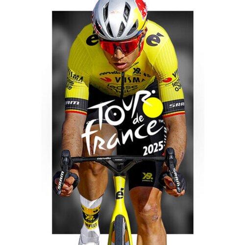  tour de france 2025 steam key (pc) row Cene
