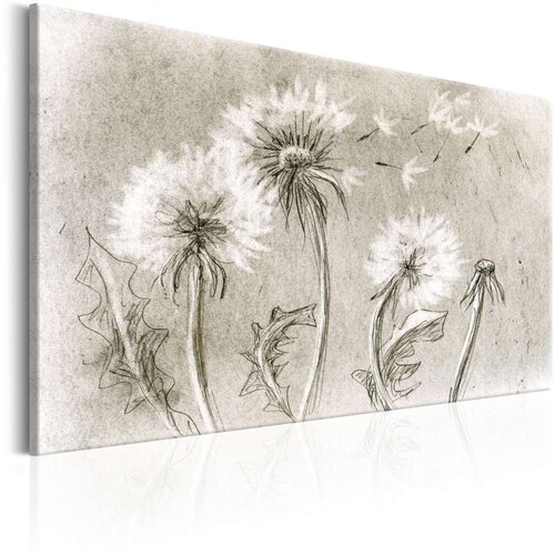  Slika - Dandelions (Pencil Artwork) 120x80 Cijene