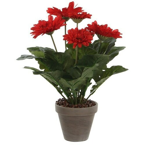 Edelmann Umjetna biljka Gerbera (Visina: 35 cm, Crvene boje, Plastika) Cijene