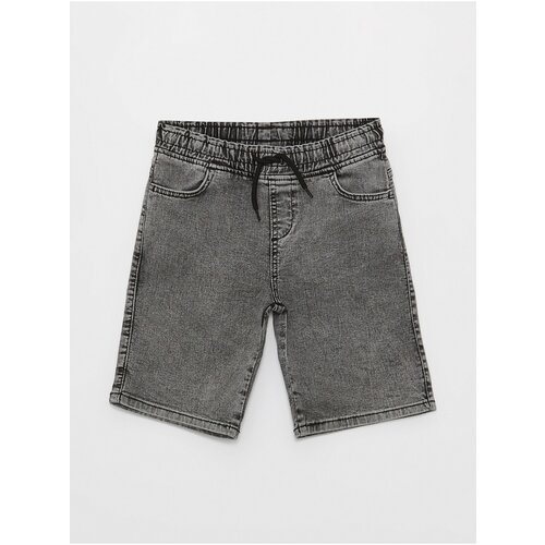 LC Waikiki Shorts - Gray Cene
