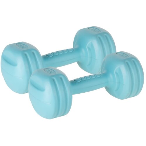 Rebel ACTIVE Bitumenske bučice za fitnes par 2x2kg RBA-2307 Cene