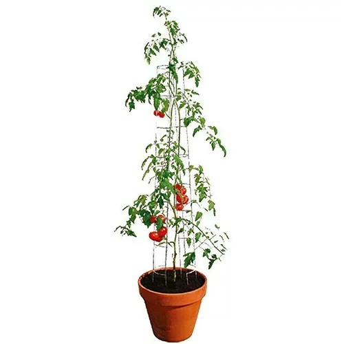BELLISSA Toranj za rajčice (Visina: 120 cm, Promjer: 13 cm)