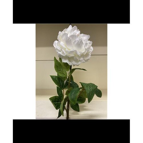  PEONIJA 72CM BIJELA EDG Cene