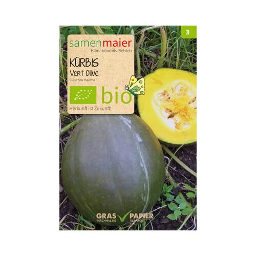 Samen Maier Ekološka buča "Vert Olive" Cene