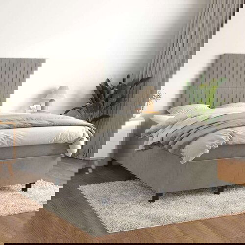 Box spring postelja z vzmetnico svetlo siva 120x200 cm žamet, (20790647) Slike
