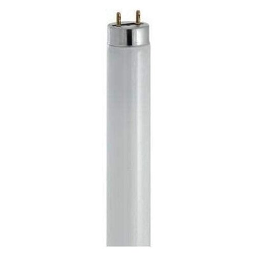 Greentech LED Cijev G13 10W 6000K Cijene