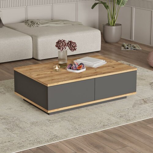 Hanah home FR14-AA atlantic pineanthracite coffee table Cene