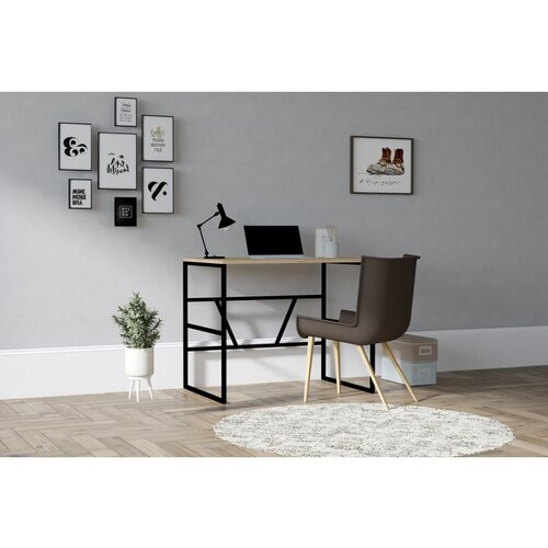 Hanah home Monea - Sapphire Oak Sapphire Oak Study Desk Cene