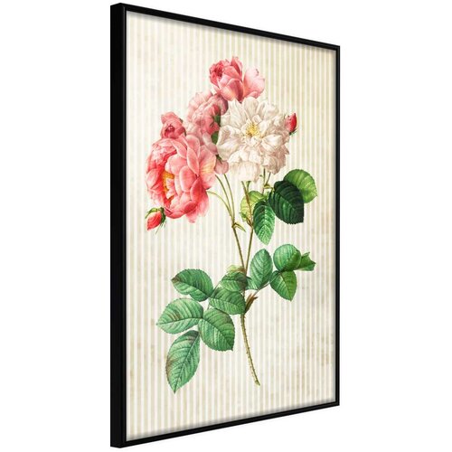  Poster - Romance II 40x60 Slike