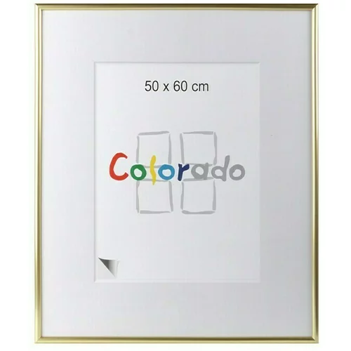 Okvir za sliku Pla-Style (Zlatne boje, 50 x 60 cm, Plastika)