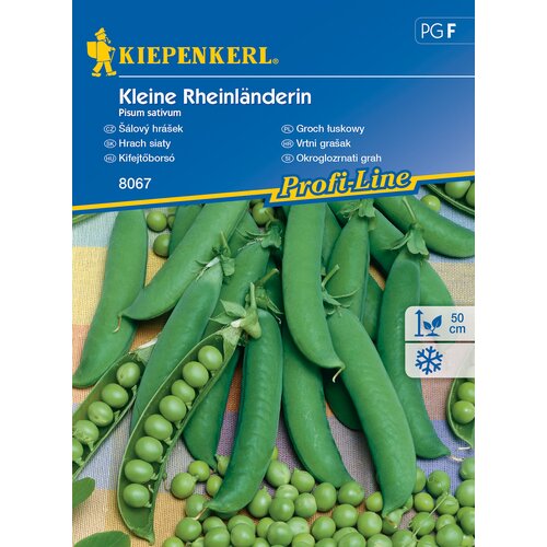KIEPENKERL Sjeme povrća grašak Kleine Rheinländerin (Pisum sativum, Berba: Lipanj) Cijene