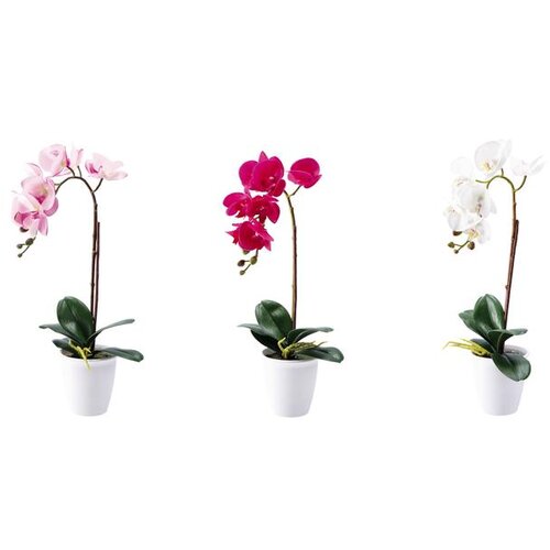  ORHIDEJA 11*48CM 7 CVJETOVA SORTO PVC 86173 Cijene