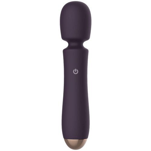 RayTech - Vodoodporni masažni vibrator z možnostjo polnjenja (vijolična) Cene