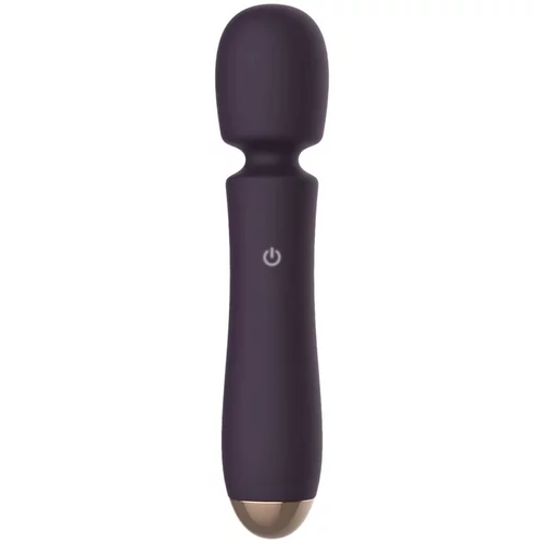 RayTech - Vodoodporni masažni vibrator z možnostjo polnjenja (vijolična)