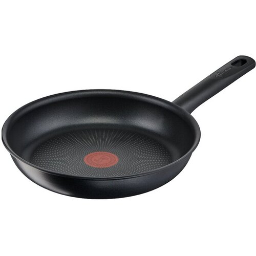 Lagostina ponev Ri-genera Green 22 cm Titanium, en ročaj, indukcija, aluminij, prevleka proti prijemanju Cene