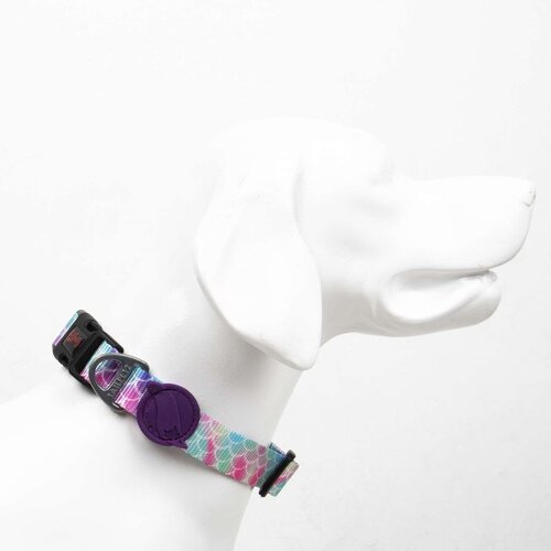 Paws & Whiskers Bubles Multicolor Dog Collar Cene