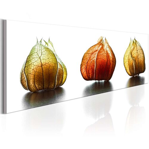  Slika - Winter Cherry 120x40 Slike