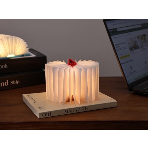 Gingko Bijeli svjetlosni ukras ne&amp;scaron;iojamas s USB BookLight &amp;ndash; Slike