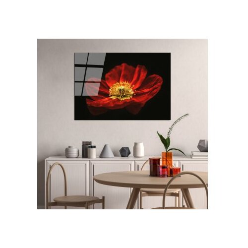 Wallxpert dekorativna slika od kaljenog stakla cvetan cvet crvenog maka (uv 204) 70 x 100cm Slike