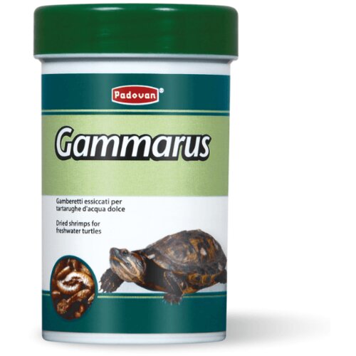 Padovan Gammarus Za Kornjače 12g/100ml Cene