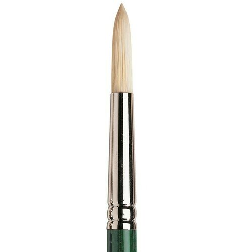WINSOR &amp;amp; NEWTON Winton Okrugli kist (Veličina kista: br. 8, Svinjske čekinje, Drvo) Slike