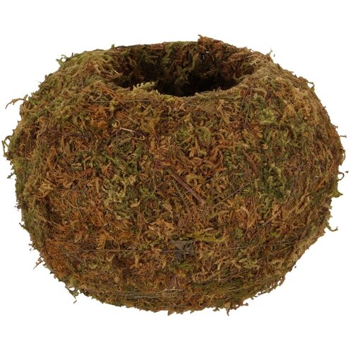 Esschert Design Kokedama krogla - M Slike