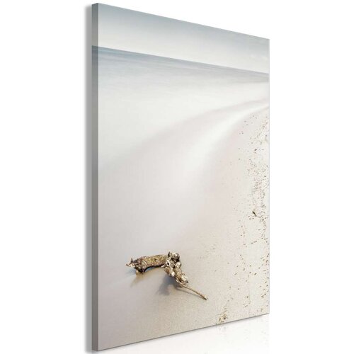  Slika - Coast (1 Part) Vertical 60x90 Cene