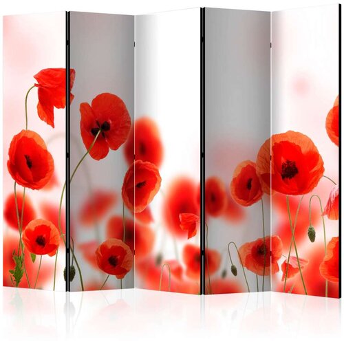  Paravan u 5 dijelova - Sleepy poppy&amp;#039;s land II [Room Dividers] 225x172 Slike