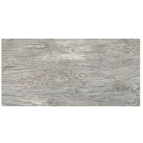 Momastela Granitogresne ploščice Radice Grigio (62 x 31 cm, Siva, Mat) Cene
