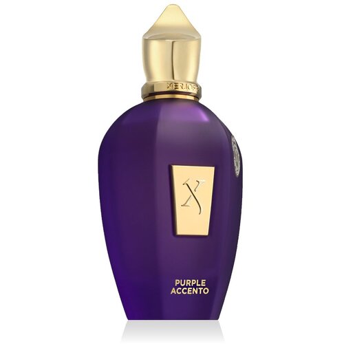 Xerjoff purple accento eau de parfum - 100 ml Cene