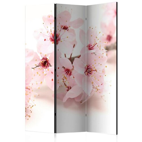 Artgeist Paravan - Cherry Blossom 135x172 Cene