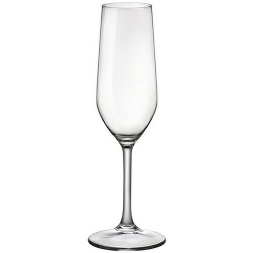 Bormioli Rocco čaše za šampanjac Riserva Champagne 6/1 20cl 126280/126281 Cene