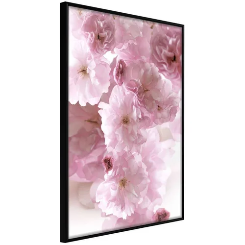  Poster - Path Paved with Flowers 30x45