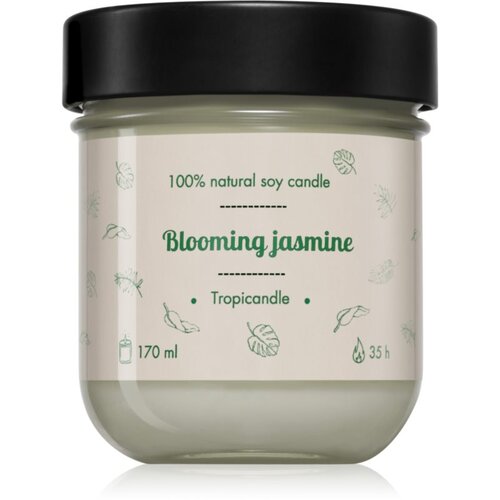 Tropicandle Blooming Jasmine mirisna svijeća 170 ml Slike