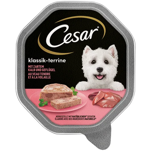 MEGA pakiranje Cesar zdjelice 28 x 150 g - Classic terrine s teletinom i peradi