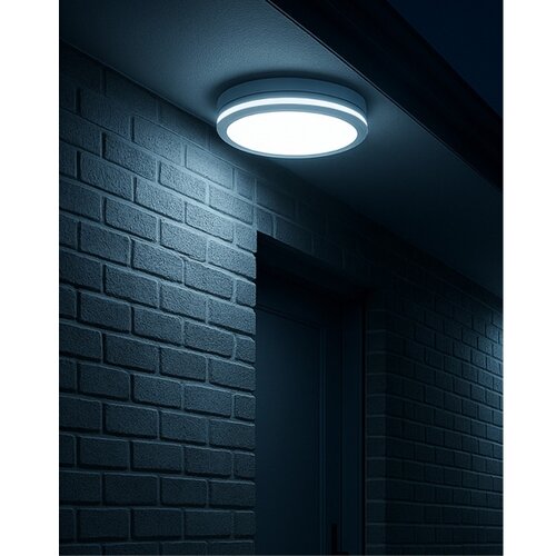  LED stropna svetiljka sa senzorom pokreta LED/20W/230V 3000/4000/6500K IP54 bela Slike